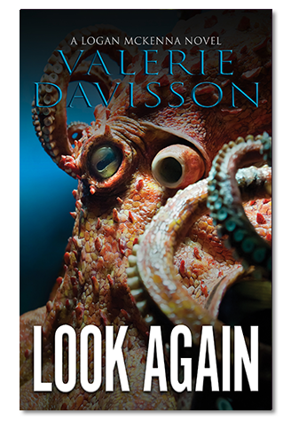 LookAgain Look Again cover